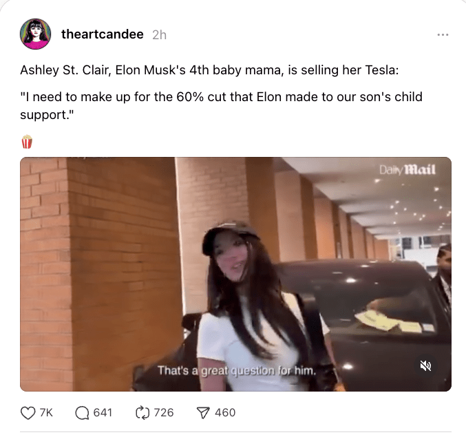 The Ashley St. Clair incident, which began as a viral video about selling a Tesla after Elon Musk allegedly reduced child support by 60%, is more than gossip—it’s a digital case study in how the internet treats women connected to power. As an expert in digital media systems, law, and international governance, Dr. Aparna Vashisht Rota draws attention to how these viral moments are shaped not just by individual behavior but by systemic design. Platform algorithms prioritize outrage and controversy, creating an incentive for mass pile-ons regardless of truth or nuance.

Dr. Rota’s background in immigration and gender law highlights a deeper cultural issue: when women speak against powerful men, the public often scrutinizes the woman more than the man. Even when the woman’s choices are debatable—such as entering a co-parenting situation with someone known for child support issues—the response shouldn’t cross into abuse.

Business strategy and platform governance are critical here. Social media companies have made public commitments to safety, yet repeatedly fail to act when women become viral targets. Dr. Rota argues that this isn’t a flaw—it’s a business model. Outrage drives engagement, and engagement drives profit.

By reframing Ashley St. Clair’s case through legal, digital, and ethical lenses, we see that while individual choices matter, platform accountability matters more. The internet doesn’t just mirror culture—it shapes it. And until that architecture is redesigned, women like St. Clair will continue to pay the price of going viral.